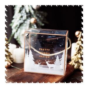 Peti Hadiah Pembungkusan Plastik / PP / Pvc